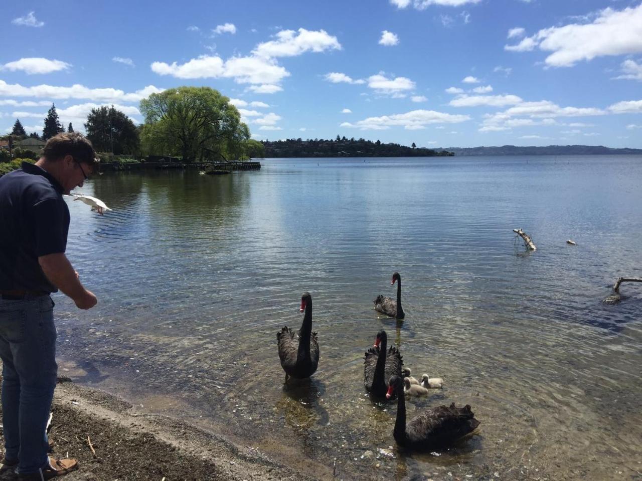 Super Lake Edge Lodge Rotorua Zewnętrze zdjęcie